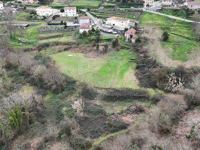 Felgueiras Porto 102525772