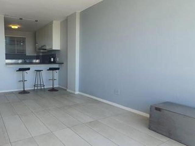 feline friendly 1 bedroom apartment