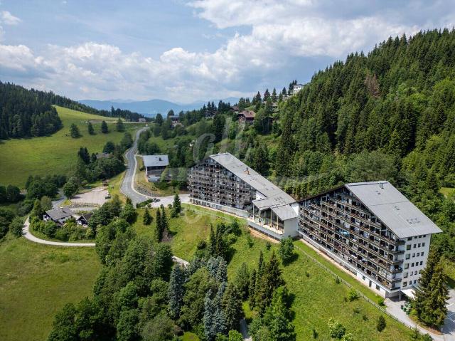 Ferienwohnung mit Balkon, Bergblick, Pool und Sauna auf der Simonhöhe