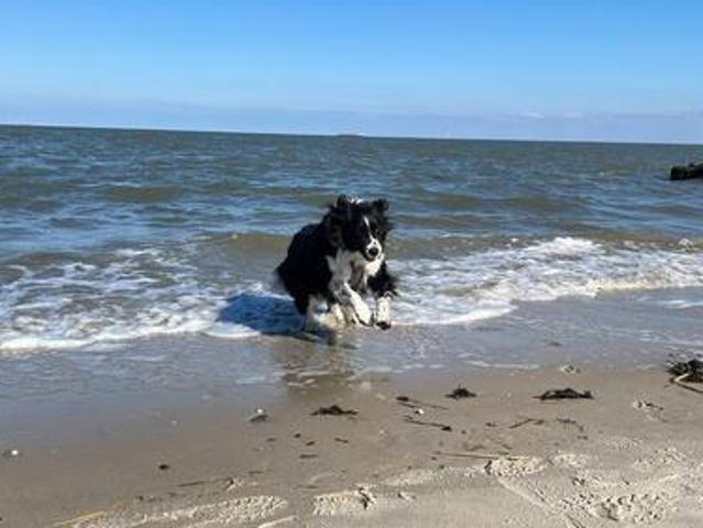 Ferienwohnung Hooksiel NordseeStrandkorb incl
