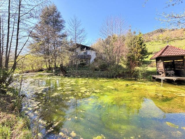 Ferienhaus mit weitläufigem Grundstück, Schwimmteich und natürlichem Wasserlauf
