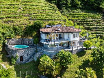 Ferienoase umgeben von Weinbergen, Bergen und See 61