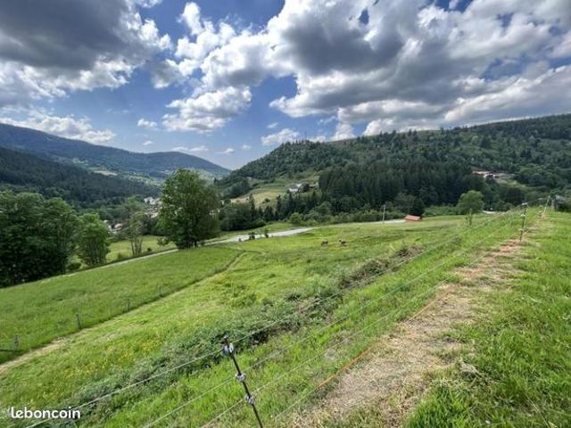 Ferme 13 pièces 276 m²