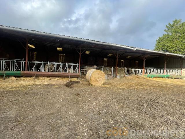 Ferme 200 hectares cultures et prairies 140m² Villecelin