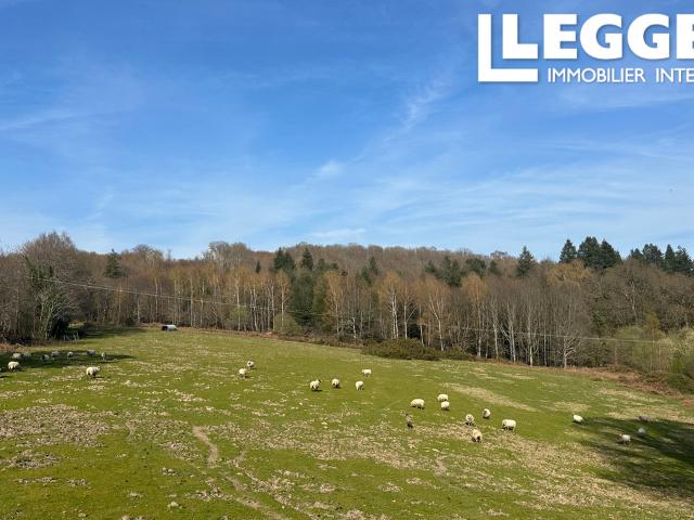 Ferme à vendre avec maison 3 chambres, granges, pâturages, bois et deux étangs dans un hameau calme