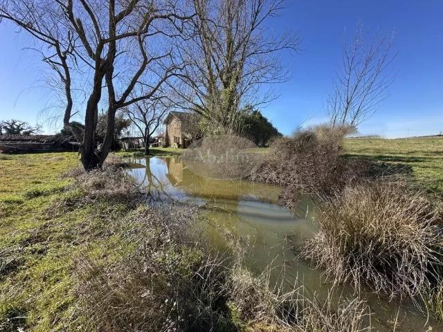 Ferme au calme 1,4 ha 150m² Masseube