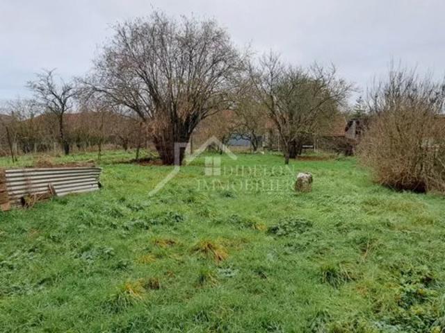 Ferme avec jardin garage / grange et dépendances