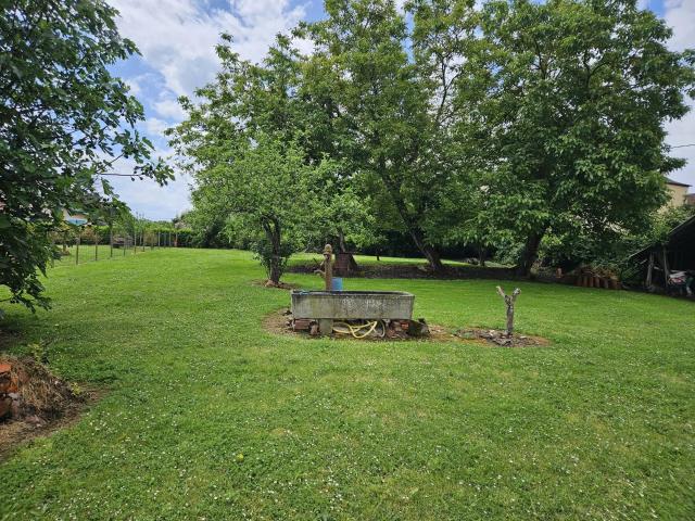 Ferme de caractère avec 2013m2 de jardin et dépendances 107m² Madiran