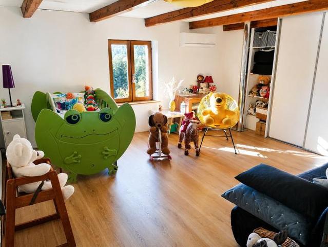 FERME RENOVEE CADRE NATURE 2,5 ha DE TERRAIN