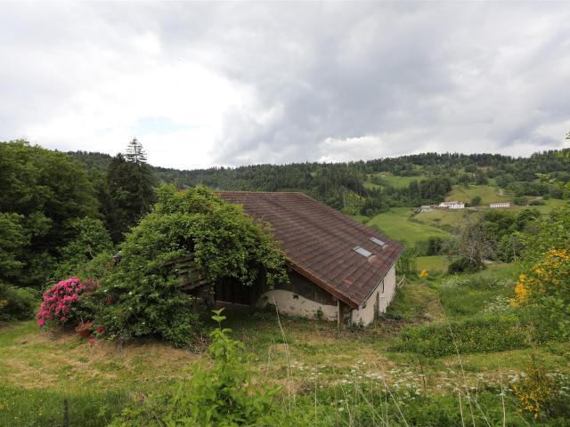 Ferme rénovée dans un endroit isolé fantastique avec 3ha de. 325m² Le Thillot