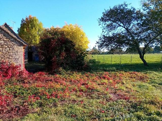 Fermette maison 5 pièces 90 m2 gîte 24m²