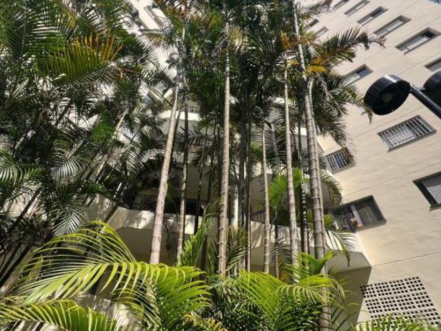 Fernando + 5 5 1 1 9 9 9 3 7 0 5 5 9 Apartamento com 110 m² e 3 quartos à venda na Vila Indiana