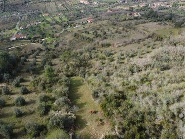 Ferreira Do Zezere Santarem 105329982