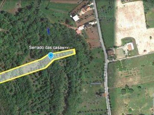 Ferreira Do Zezere Santarem LS99028371