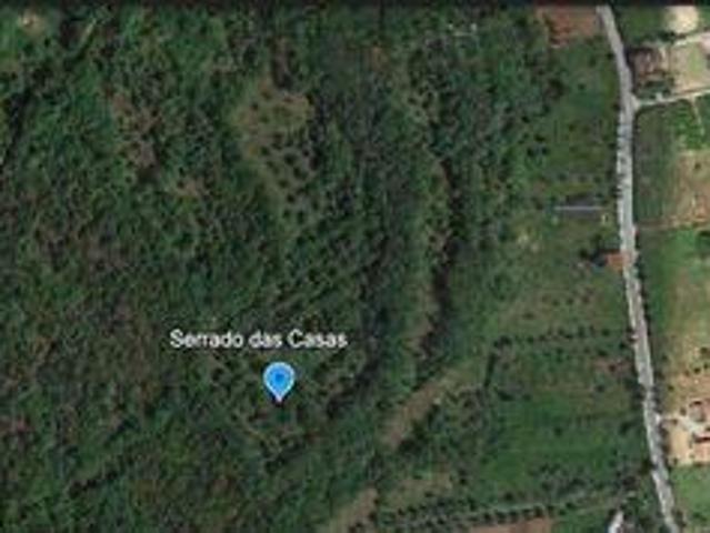Ferreira Do Zezere Santarem LS99028377
