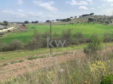 Ferreira do Alentejo Ferreira do Alentejo 103378723