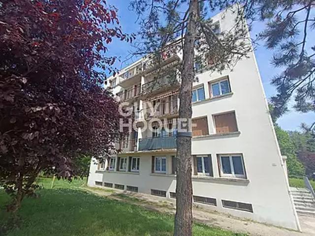 Feurs 42110 Achat / Vente appartement 3 pièces t3 cave