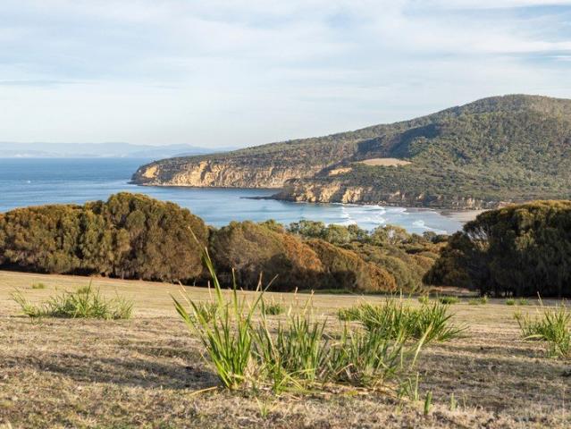 Final Lot at Windgrove. A Legacy of Peace, Nature, Living Art & Vision