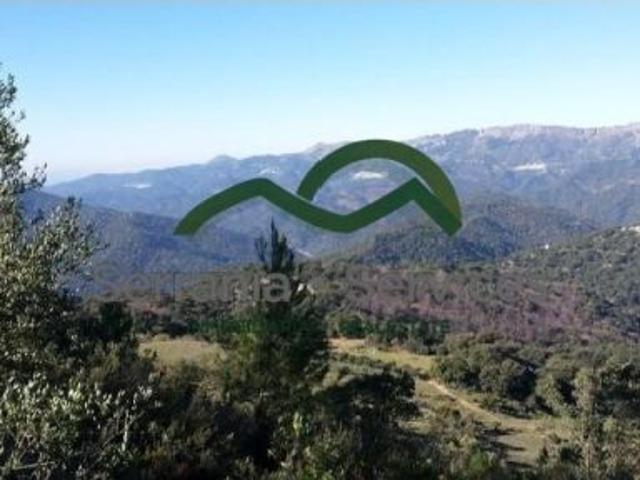 Finca, 44 h. con 3 Ruinas, Farajan