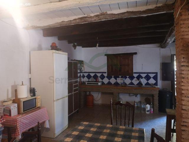 Finca 55 ha. Cortijo, Manantiales, Pastos para ganado, Pinar y Alcornoques