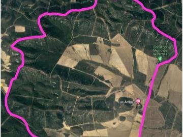 Finca 5.000 hectáreas en Ciudad Real