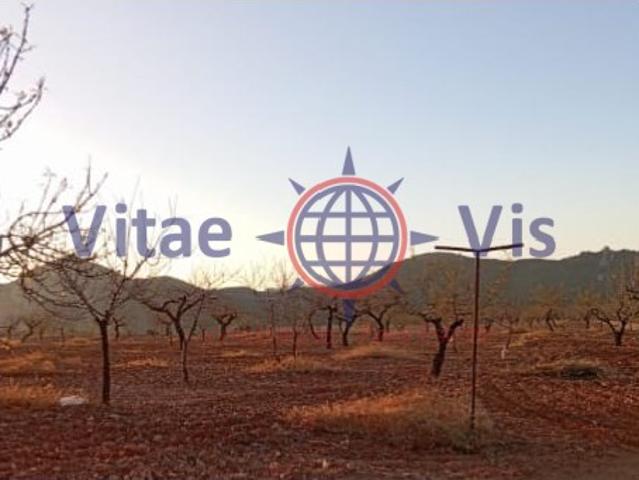 FINCA 70 HECTAREAS CON EXPLOTACION GANADERA Y AGRICOLA CON CORTIJO EN LA PACA