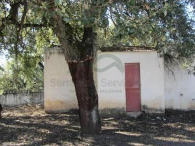 Finca 88 Hectáreas, Casa Cortijo, 2 Casas, 8 Naves