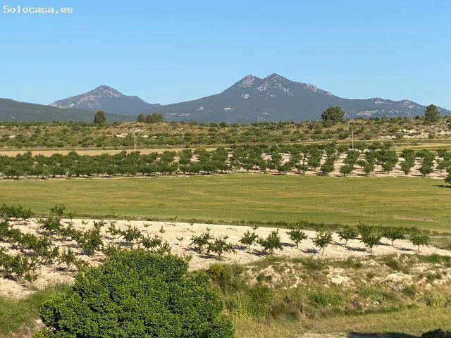 Finca urbanizable y en activo en Moratalla