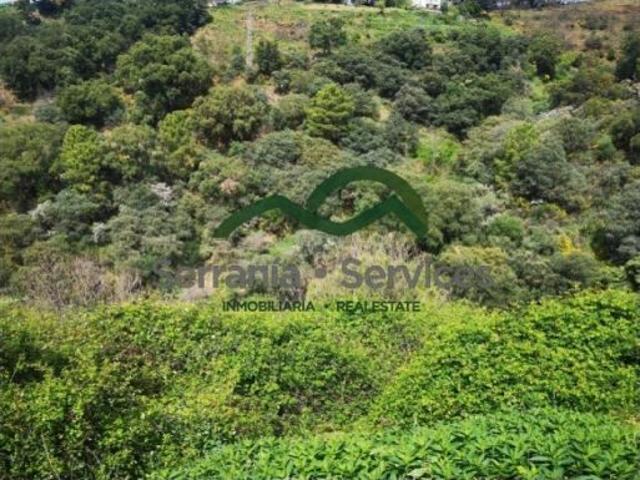 Finca Agrícola con Casa a Reformar, Piscina, Pozo, 6 naves agrícolas