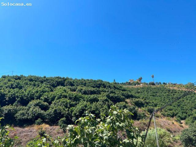 Finca agrícola con vivienda reformada, piscina y plantación de aguacates y