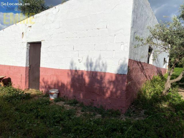 FINCA CON CASA Y NAVE A 10 MINUTOS DE RONDA