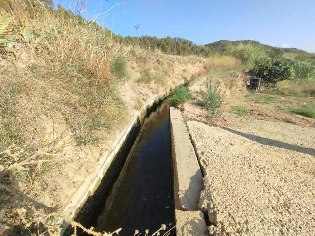 Finca con cultivo de olivos y riego por goteo