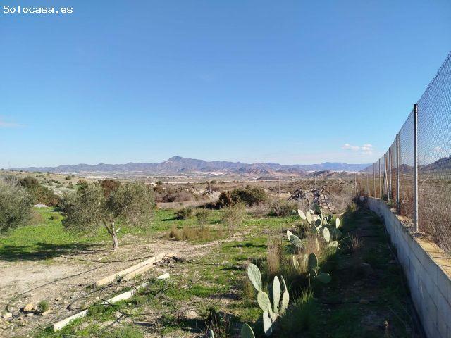 ? Finca con Alma en Leiva: 6.800m2 de Olivos, Piscina y el Mar a 12 Minutos