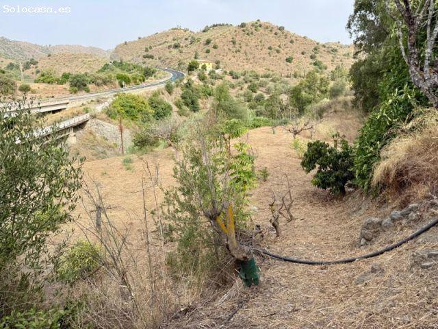 Finca con apero en Los Ramírez La Viñuela