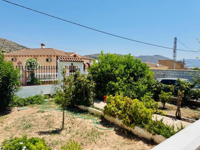 Finca con olivar y casa lista para disfrutar en Teba: naturaleza, tranquilidad y calidad de vida