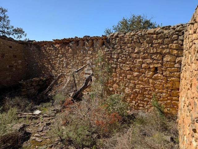 Finca con maset en Cretas