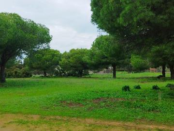 Finca con nave y vivienda