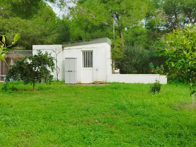 Finca con nave y vivienda