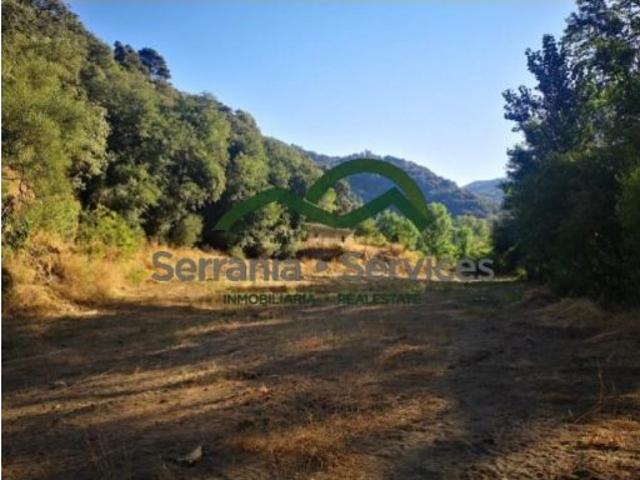 Finca con Vega de 4 has Rio Genal