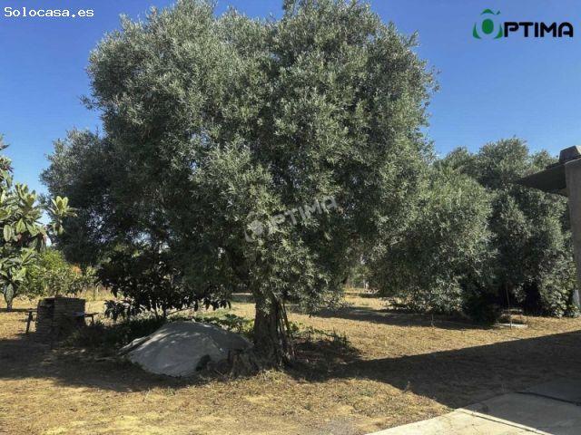 # Finca con vivienda de 344 m² y parcela de 3.325 m² en Gibraleón Huelva