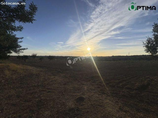 # Finca con vivienda, nave y equipamiento ecuestre en parcela de 4.749 m²