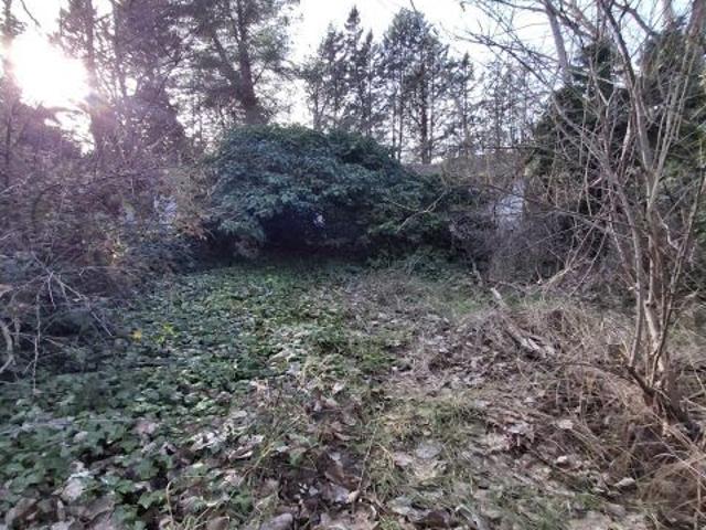 FINCA CON VIVIENDA PARA VENTA