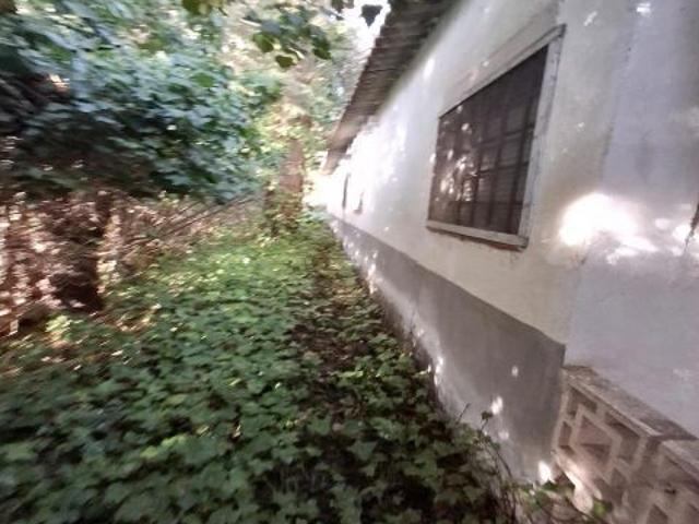 FINCA CON VIVIENDA PARA ALQUILER