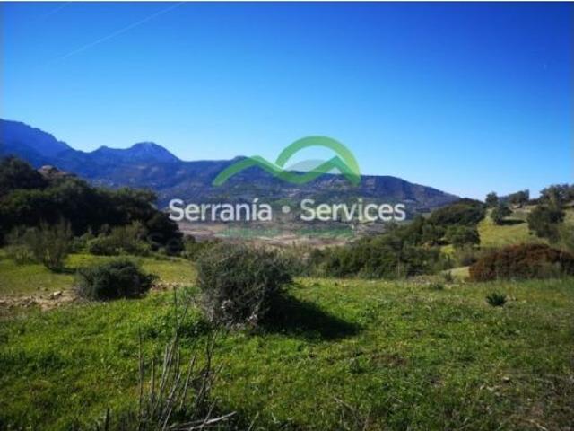 Finca. Cortijo a reformar, junto Pantano Zahara, Olivos, Vistas