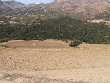 Finca, Cortijo 350m2 para Reformar, 54 Ha, Vistas