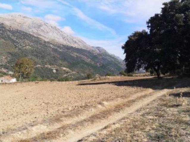 Finca, Cortijo 350m2 para Reformar, 54 Ha, Vistas