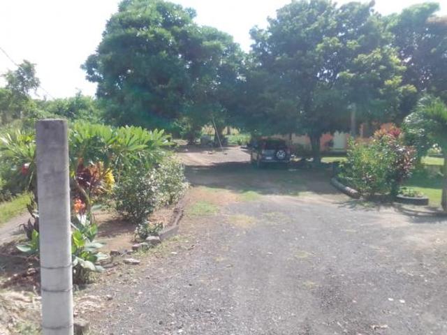 FINCA CULTIVABLE DE 24000 MTS 2 EN MOZAMBIQUE MPIO DE MEDELLIN, VER