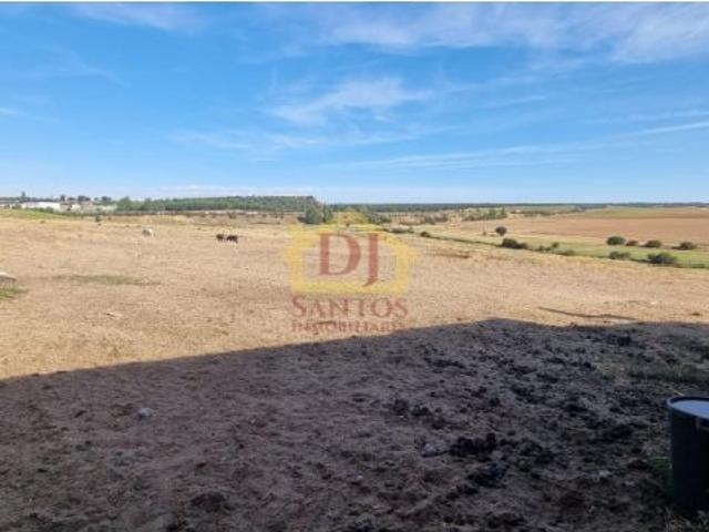 FINCA DE 42.000M2 4 HECTAREAS Y ALGO CON CASA DE 45M2 ÚTILES. Y 2 NAVES DE