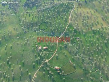 Finca de 50 ha, ideal para uso ganadero y para recreo, con una vivienda