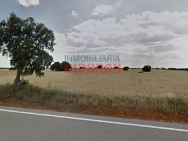 Finca de 530 has en Montiel, Ciudad Real